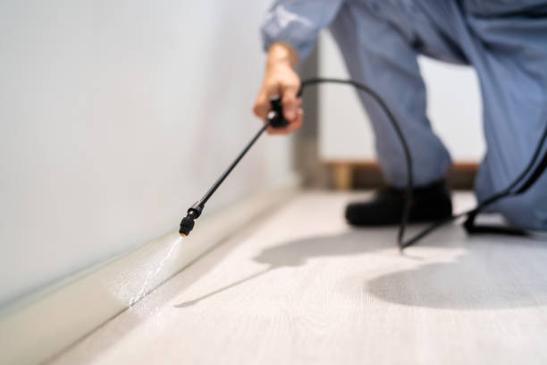 Licensed Cockroach Control service in Rome, GA - Nex Pest Control