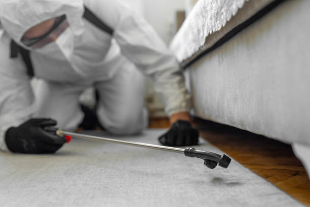 Professional Cockroach Control technician working in Rome, GA