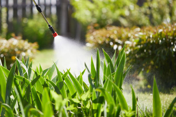24/7 Emergency Cockroach Control experts in Rome, GA