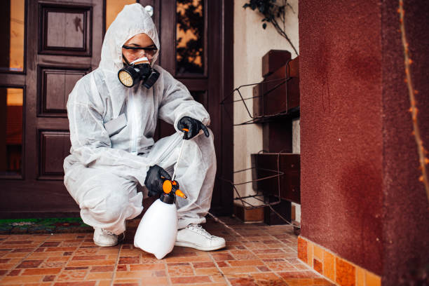 Reliable Cockroach Control contractor in Rome, GA by Nex Pest Control